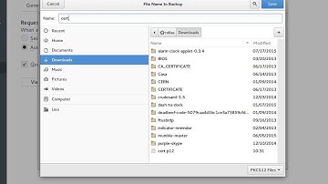 How to export a Certificate in Firefox