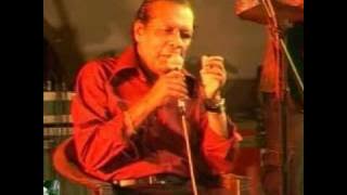 SUNFLOWER ridam night MATUGAMA 2008( MARVIN PERERA1)