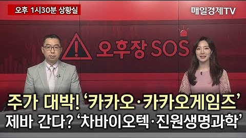 [긴급진단] 주가 대박! 