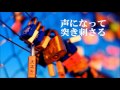 Kana Boon &quot;Sakura no Uta&quot; Japanese lyrics/ VostFr