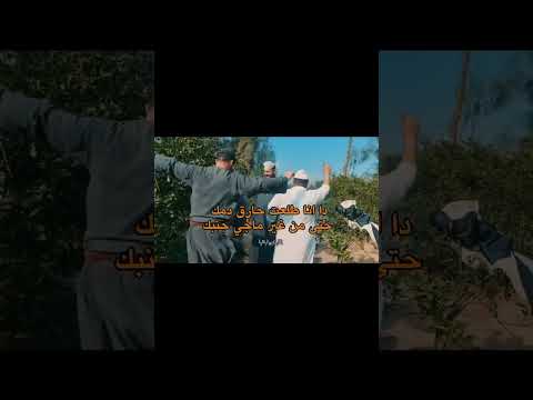 طلعت حارق دمك