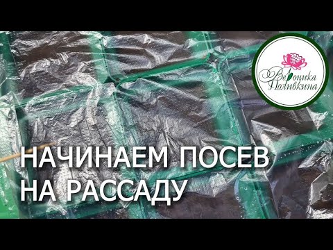 Начинаем посевную как и какие культуры сею первыми