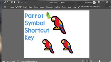 PARROT Symbol Shortcut Key in Ms Word