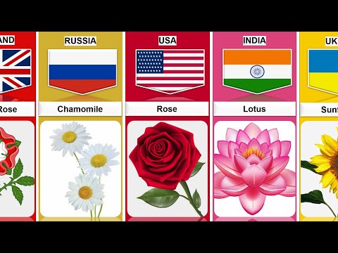 National Flowers From Different Countries