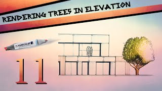 Rendering Trees In Elevation