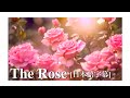"The Rose" by Bette Midler (日本語字幕) ~AIミュージックビデオ~