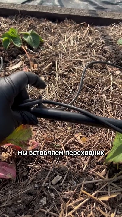 Трубка для полива - YouTube