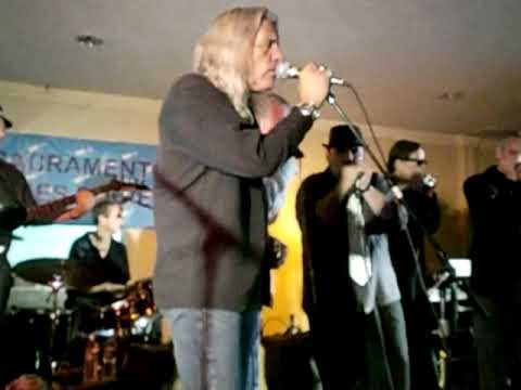 Darrell Mansfield With The Used Blues Band....Harp...