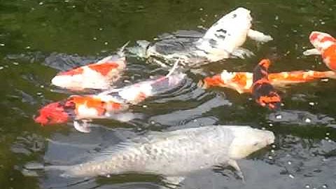 video-2012-05-22-15-36-27