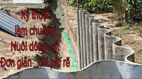 Kỹ Thuật Làm Chuồng Nuôi Dông Cát Đơn Giản Hiệu Quả Nhất , Với Chi Phí Rẽ