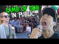 METAL SCREAMING IN PUBLIC: Lamb of God