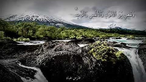 ﴿وَبَشِّرِ ٱلصَّـٰبِرِینَ﴾ أجمل حالات واتس اب قرآن بصوت القارئ فارس عباد. 🍀💚