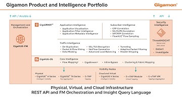Gigamon Product and Intelligence Portfolio