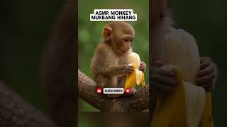 🐒 Monkey Eating Banana ASMR 🍌 | Cute & Relaxing Mukbang | #asmr #satisfying #oddlysatisfying