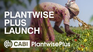 PlantwisePlus Launch
