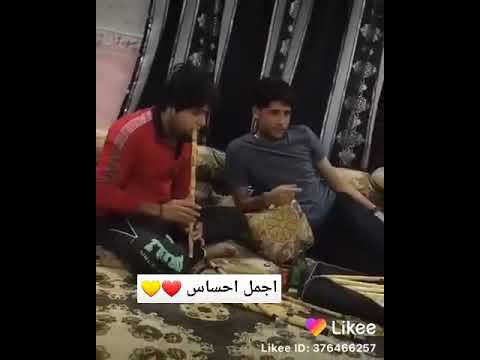جمل احساس ال مرتضى حرب ولا تنسى شترك في القناء