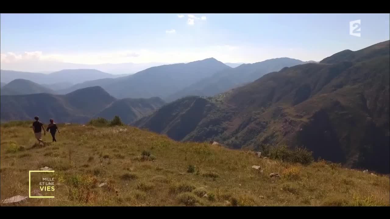 Voyage: travailler pour être logé - WWOOFing