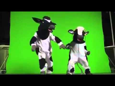 vaquinha mococa remix vaquinha mococa remix