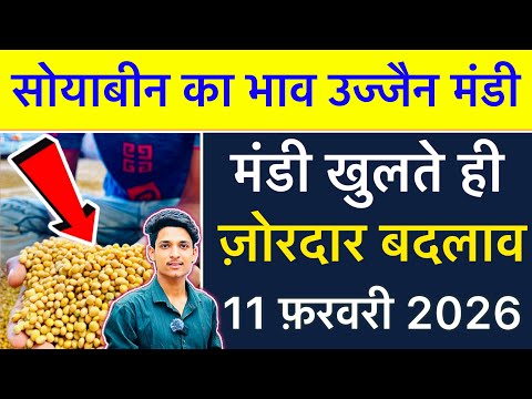 Soybean Rate Today Ujjain Mandi | Soybean Ka Bhav | Ujjain Mandi Bhav Today |