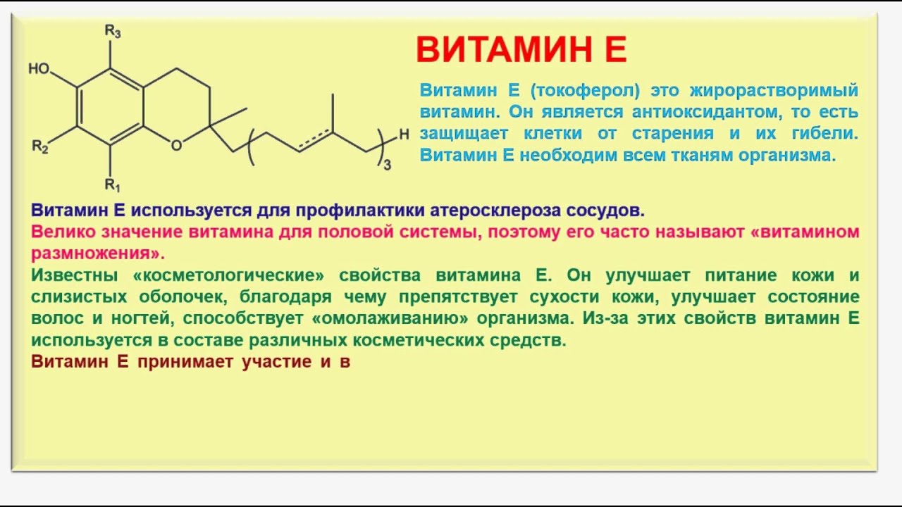 Витамин E (Токоферол) - влияние на организм, польза и вред, описание -  Calorizator.ru
