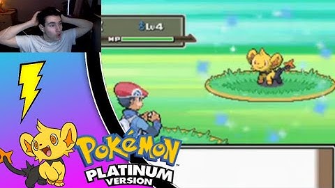 Shiny Shinx in Pokemon Platinum after 4214 Encounters ! [Full Odds]