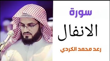 ٨.سورة الانفال / الشيخ رعد محمد الكردي