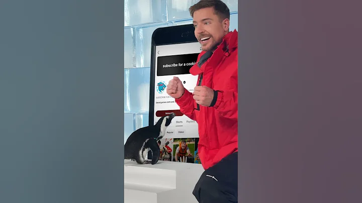 Can I Teach A Penguin To Subscribe? @MrBeast