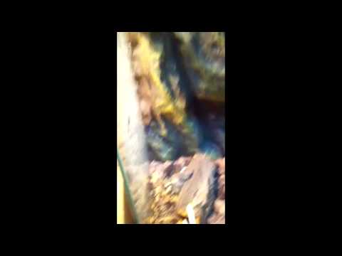 Video: Skorpionen I Opstigningen: Interaktion Med Solskiltet