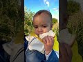 Cute baby eating bread slice | BLW | Baby self feeding bread | Try not to laugh #funnyvideo #cute