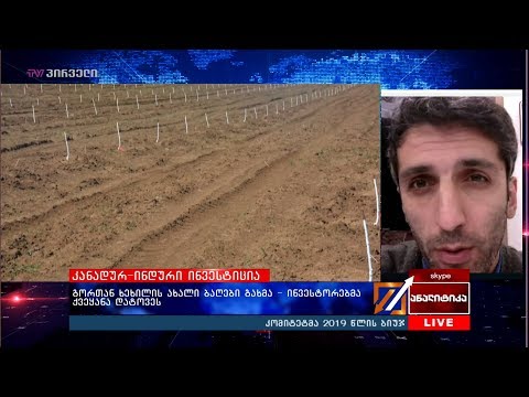 გორთან ხეხილის ახალი ბაღები გახმა - ინვესტორებმა ქვეყანა დატოვეს