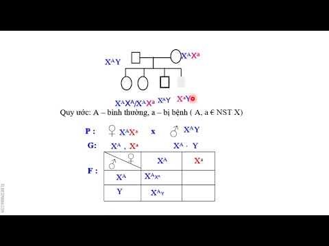 BÀI GIẢNG SINH HỌC 9 TUẦN 14 (Từ ngày 12/12/2021 đến 18/12/2021)