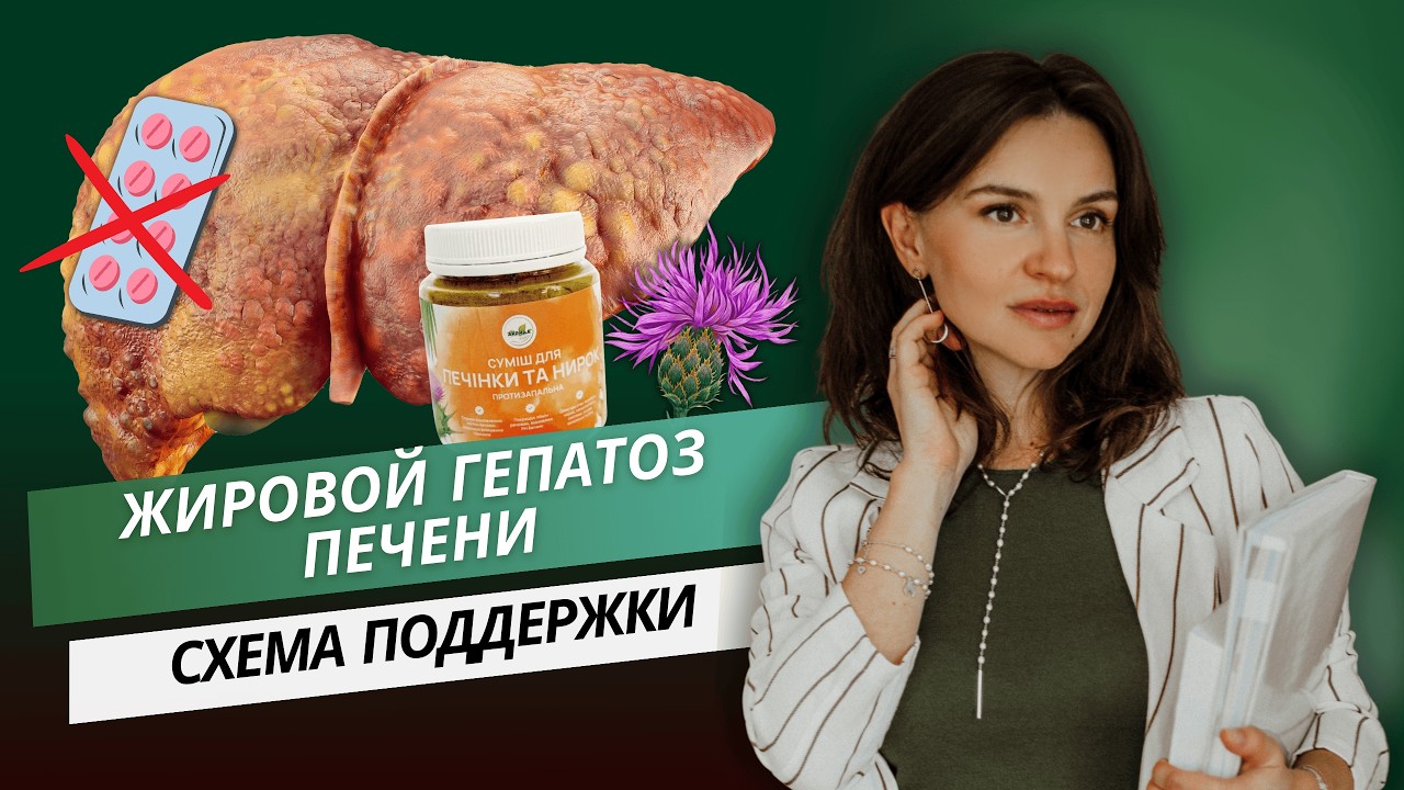 Жировой гепатоз печени. Схема поддержки