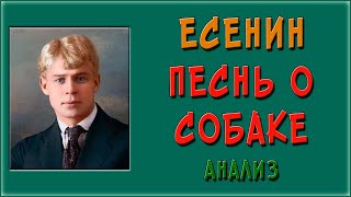 Песнь о собаке. Анализ