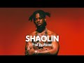 Shaolin – Afro Trap Type Beat | Rema x Afro Instrumental 2025