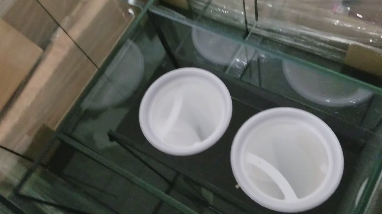 First Look at my Waterbox 75.2 Sump Layout - YouTube