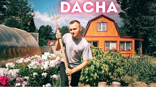 DACHA IN SIBERIA. How does it let Russians survive?