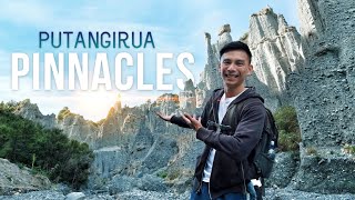 Lord Of The Rings Putangirua Pinnacles, Fur Seals & Cape Palliser, WAIRARAPA | NZ Road Trip Vlog 2/3