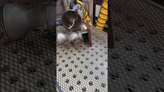 LASER CLEANING Old Coffee Grinder