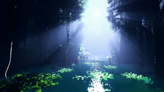 Positive Healing Vibes Chandni Ratein, Moonlight Nights In Urdu Language