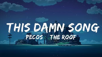 Pecos & The Rooftops - This Damn Song (Lyrics)