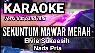 SEKUNTUM MAWAR MERAH - Elvie Sukaesih | Karaoke dut band mix nada pria | Lirik