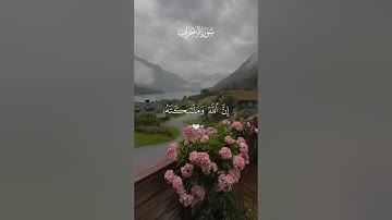 🌿سورة الأحزاب🌿 /  🌿القارئ محمد اللحيدان🌿