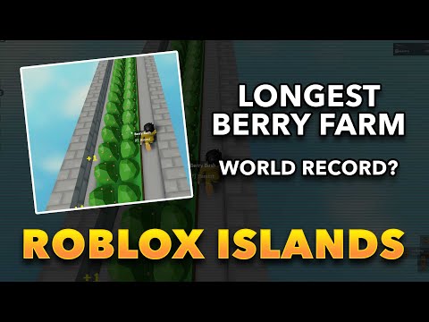 Roblox Islands Longest Berry Farm takes 5 mins to get across!