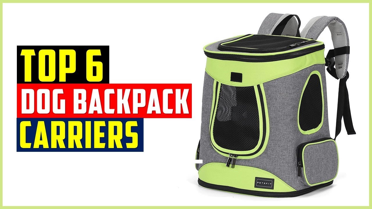 Best Dog Backpack Carriers for Biking 2022Top 6 Backpacks For Dog 2022 Review YouTube