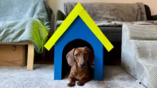 Mini dachshund's homemade dog house!
