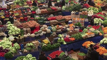 The IPBES Assessment of Pollinators, Pollination and Food Production English