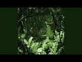 Tyla Push 2 Start Slowed Reverb Tyla Push 2 Start Slowed Reverb