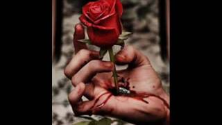 FeLeK KeŞKe SeNiSeVMeSeYDiM