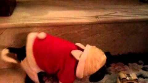 C:\Documents and Settings\Administrator\桌面\生悶氣.3gp