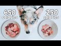 Raw Food Meal Sizing For Dogs Explained